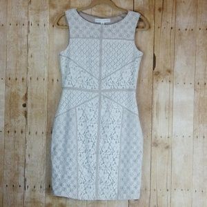 Maggie London Cream & Tan Lace Sheath Dress Sz. 10